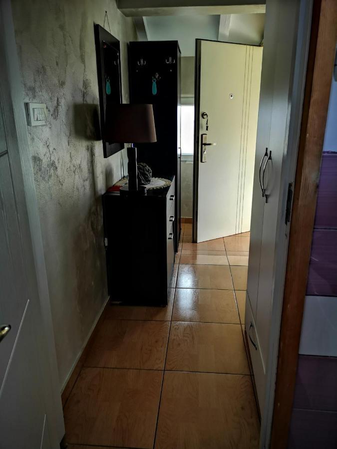 ツェティニェApartman Sunnyアパートメント エクステリア 写真