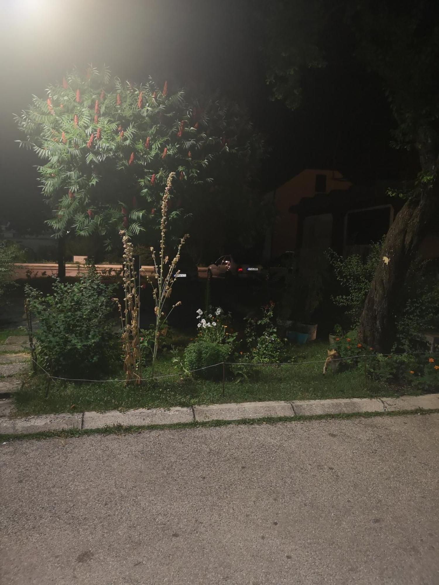 ツェティニェApartman Sunnyアパートメント エクステリア 写真