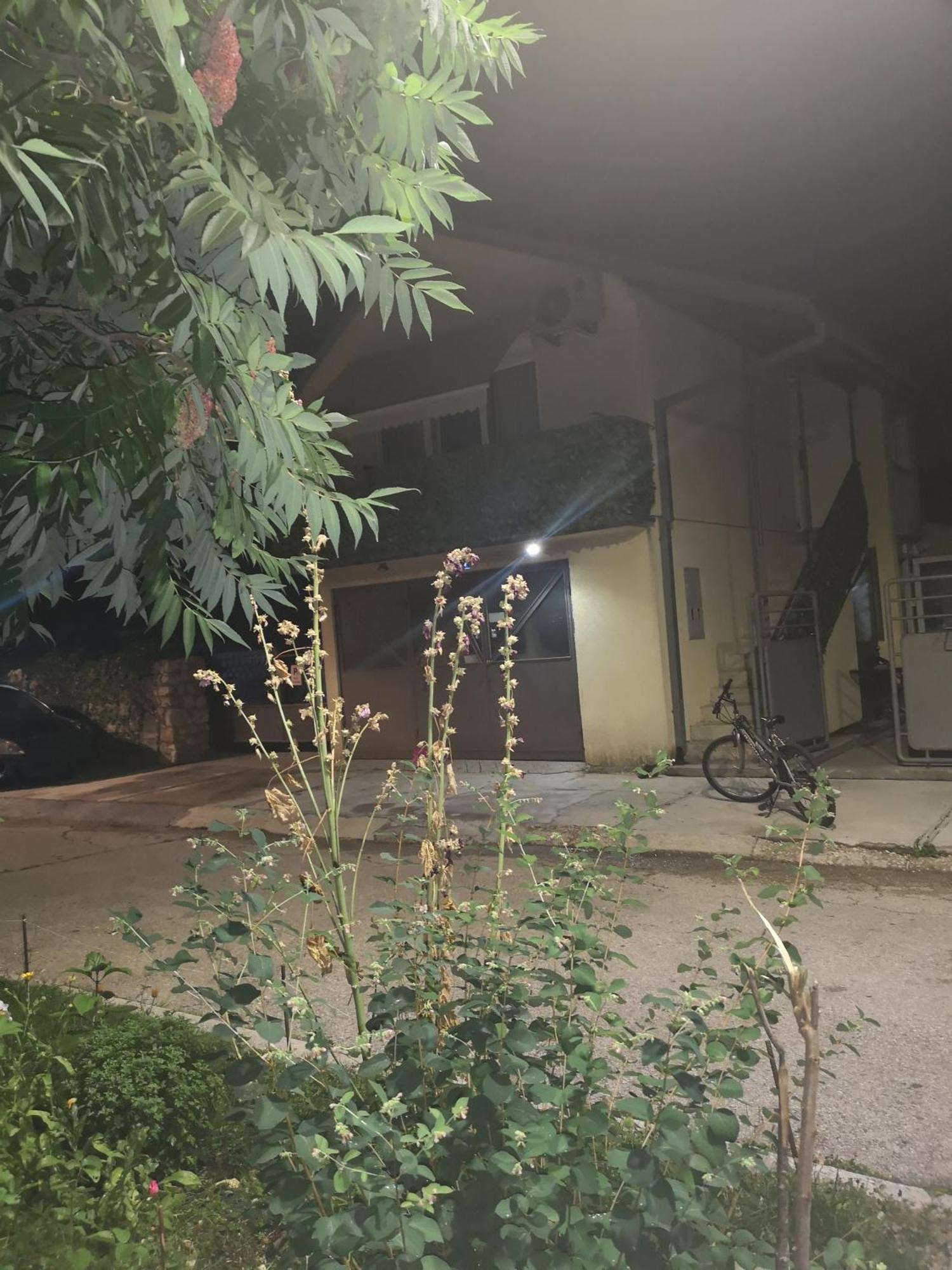 ツェティニェApartman Sunnyアパートメント エクステリア 写真